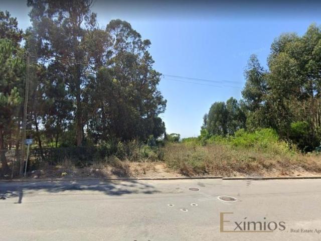 Vila do Conde Porto LS97029412