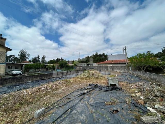 Vila do Conde Vila do Conde 104830735