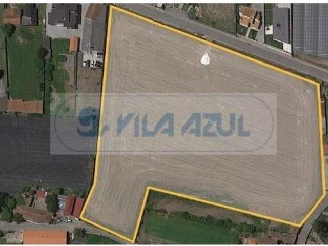 Vila do Conde Vila do Conde 100248567