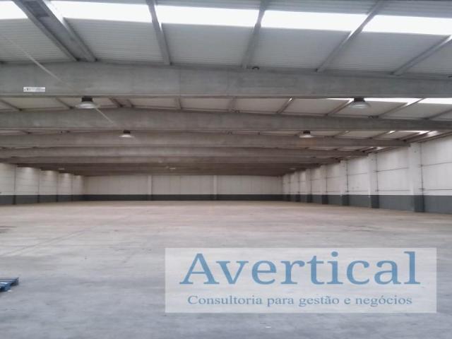 Vila do Conde Vila do Conde 102667969