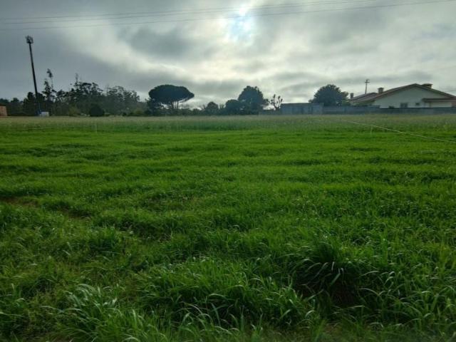Vila do Conde Vila do Conde 102921830
