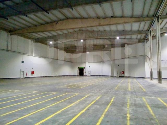 Vila do Conde Vila do Conde 4485 592 102031774