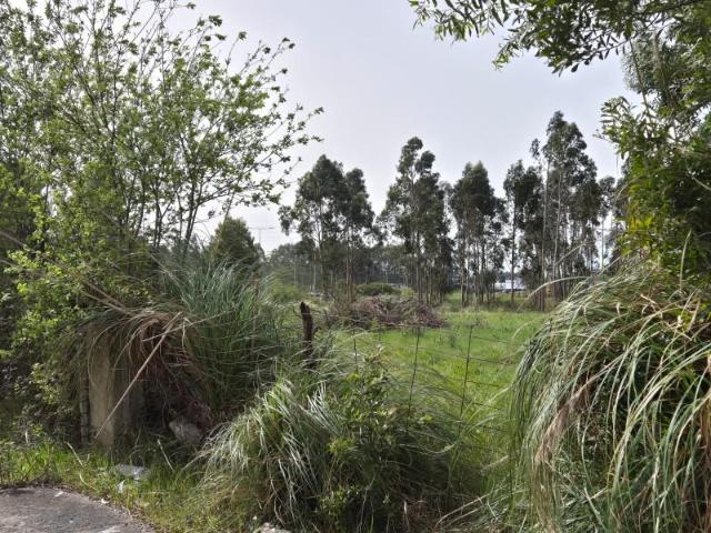 Vila do Conde Vila do Conde 99427631