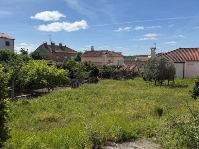 Vila Flor Bragança 102439472