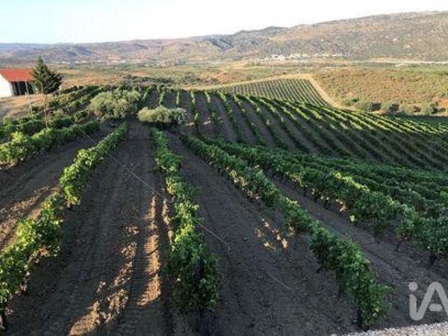 Vila Flor Braganca 104187019