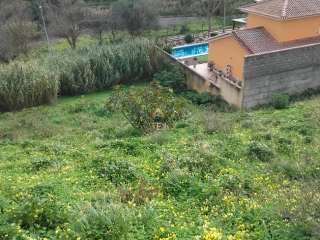 Vila Franca de Xira Lisboa 98756325