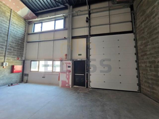 Vila Franca de Xira Vila Franca de Xira 104074361