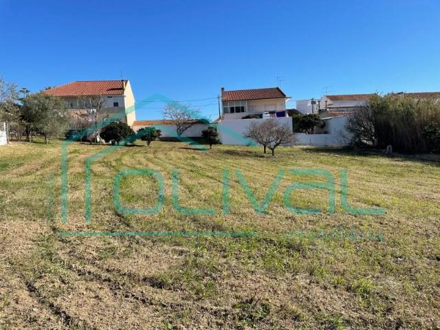 Vila Franca de Xira Vila Franca de Xira 104202609