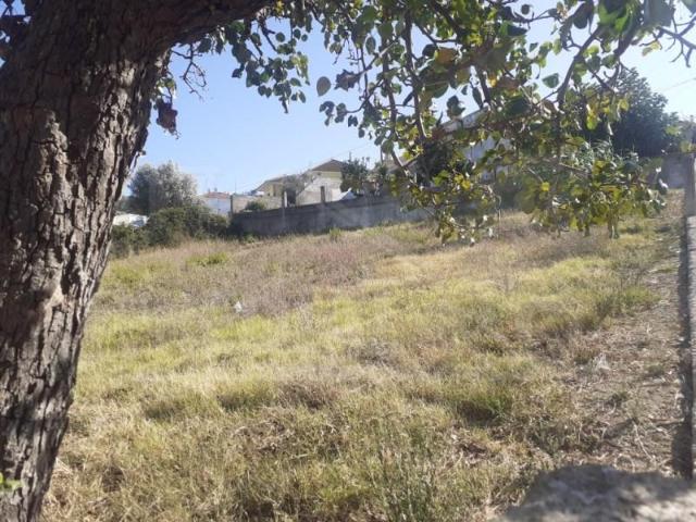Vila Franca de Xira Vila Franca de Xira 102329008