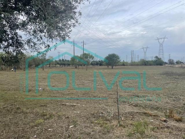 Vila Franca de Xira Vila Franca de Xira 96234990