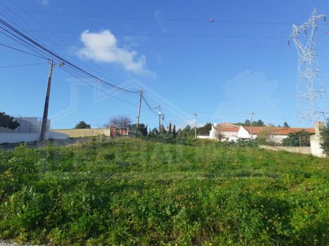 Vila Franca de Xira Vila Franca de Xira 97886287