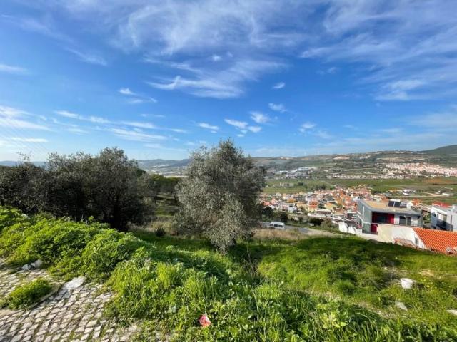 Vila Franca de Xira Vila Franca de Xira 99901486