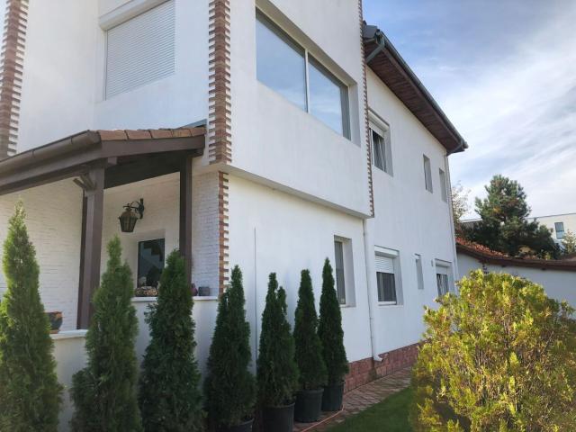vila individuala, amplasata stradal, curte generoasa, zona iancu nicolae
