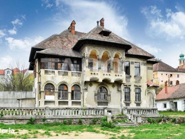 Vila interbelica isi asteapta cu speranta tacuta noul proprietar