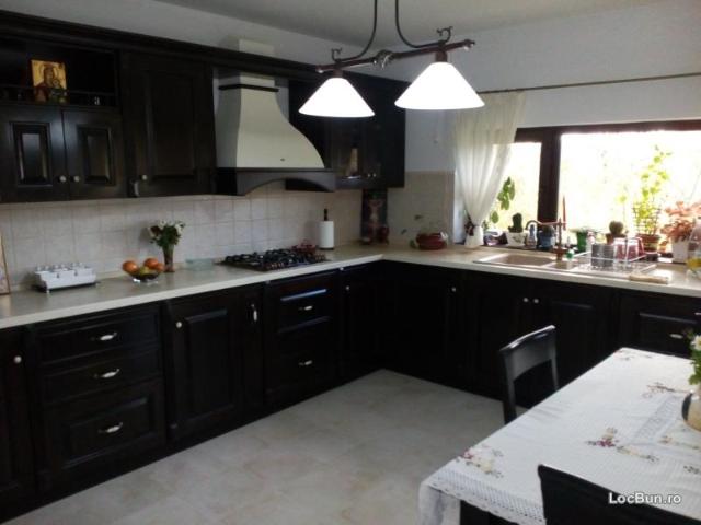vila lux la pret de apart in statiune balneoclim la 99km de Bucur