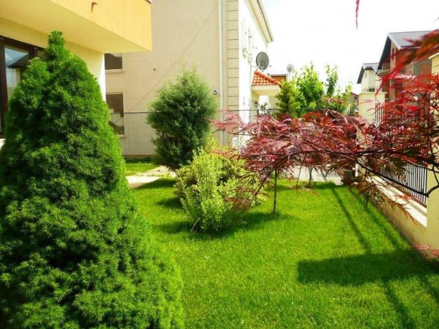 Vila Pipera