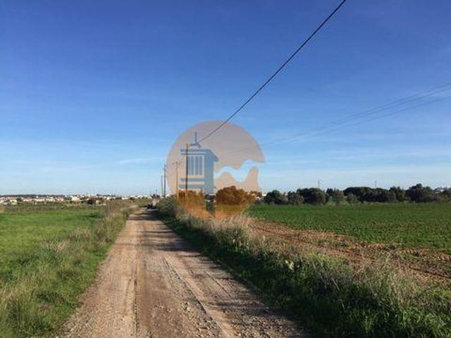 Vila Real de Santo António Faro LS98149932