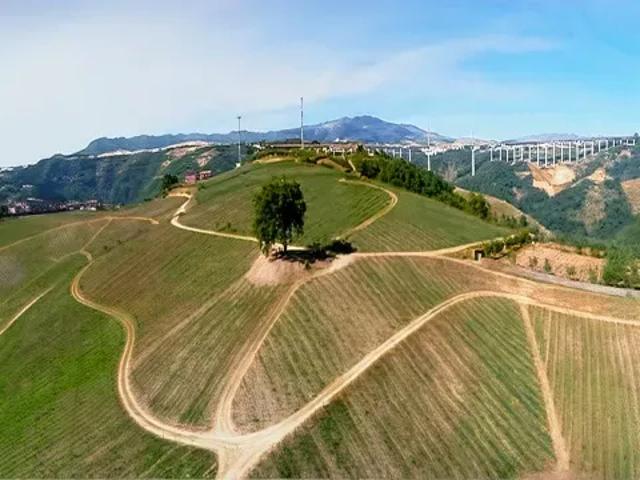Vila Real Santa Marta de Penaguião 103573549