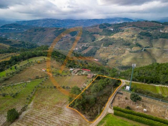 Vila Real Peso da Régua 5050 LS99507004