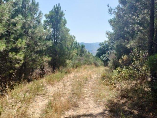 Vila Real Vila Real LS82736984