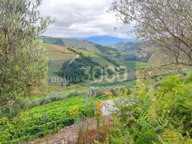 Vila Real Vila Real LS96718481