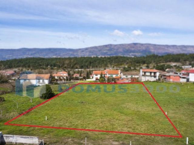 Vila Real Vila Real 100311820