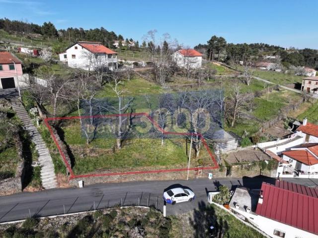 Vila Real Vila Real 102092785