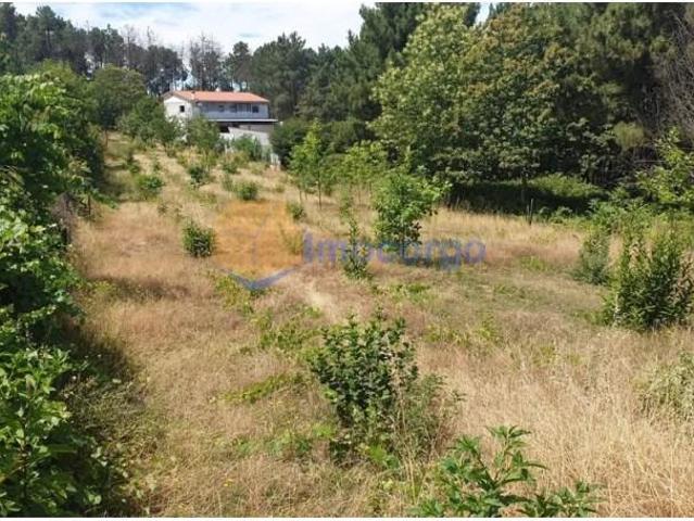 Vila Real Vila Real 102667682