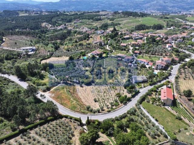 Vila Real Vila Real 103068870