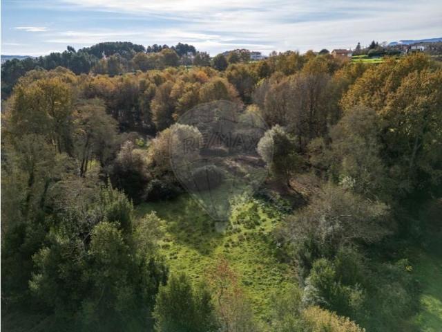 Vila Real Vila Real 103184375