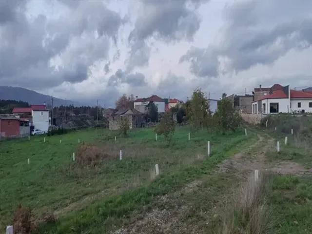 Vila Real Vila Real 103540759