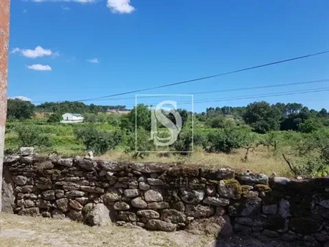Vila Real Vila Real 103557956