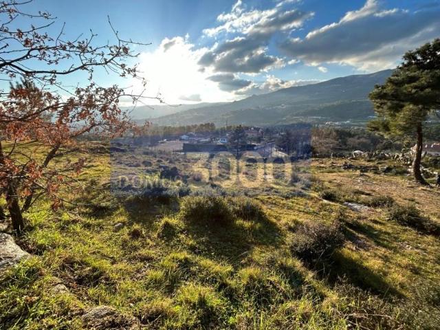Vila Real Vila Real 104012049