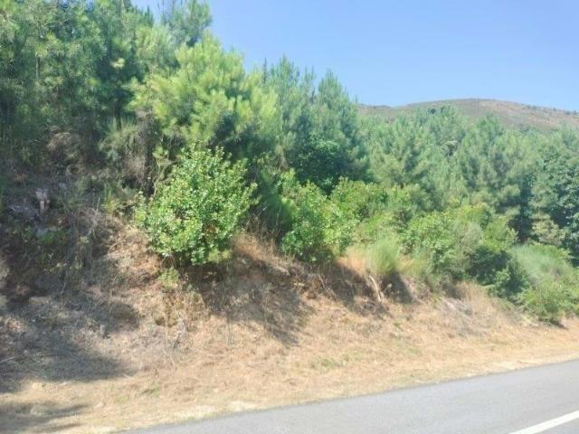 Vila Real Vila Real 104877801