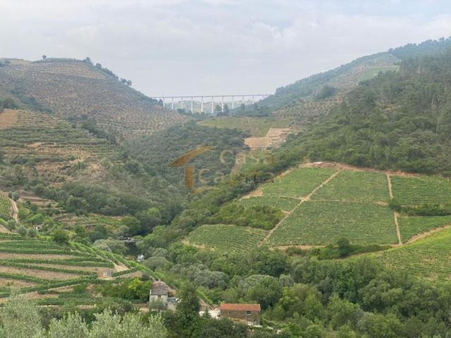 Vila Real Vila Real 5000 103611526