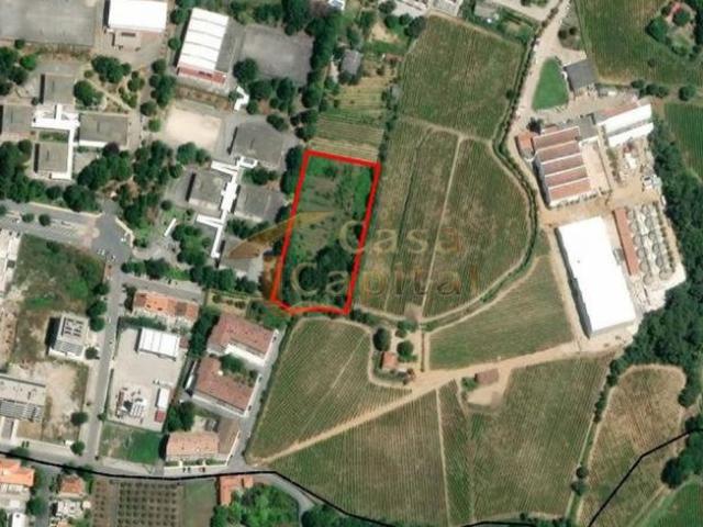 Vila Real Vila Real 5000 98918842