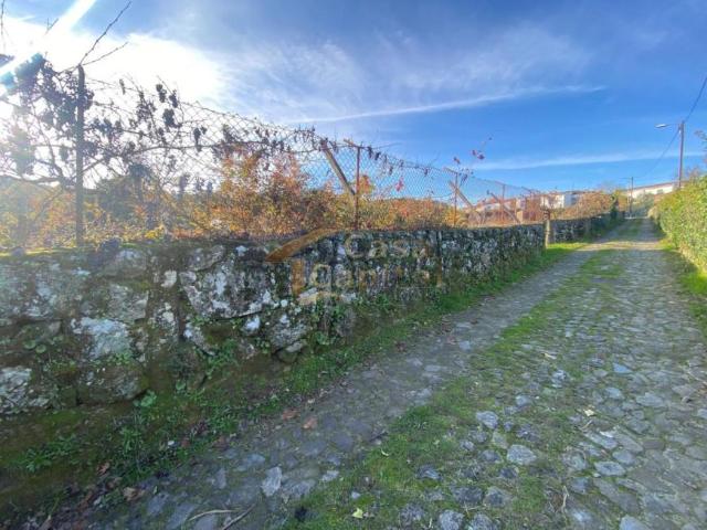Vila Real Vila Real 5000 98362000