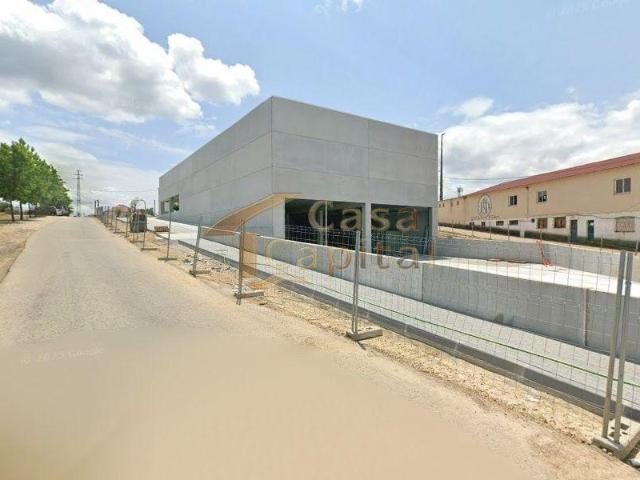 Vila Real Vila Real 5000 99559103