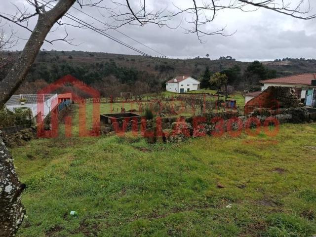 Vila Real Vila Real 99802716