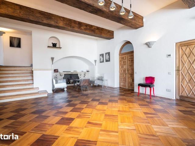 Vila reprezentativa zona Dacia