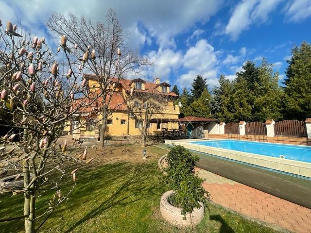 Vila superba*8 camere* Teren 1300 mp*Sauna +Piscina/Pipera