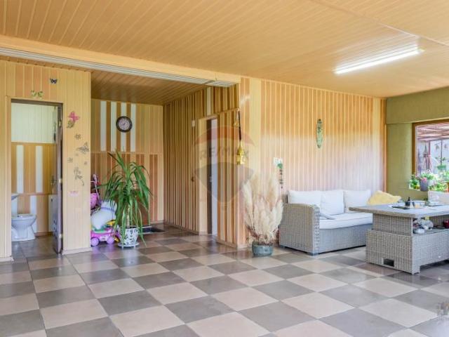 Vila spatioasa cu teren generos, gradina si anexe, Branesti