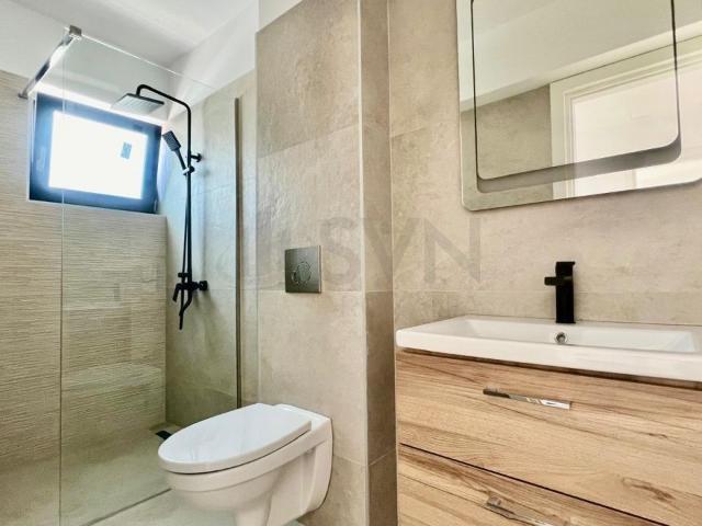 Vila tip duplex Straulesti Doi Cocosi