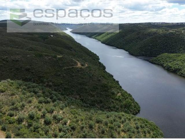 Vila Velha de Rodão Vila Velha de Rodão 102441254