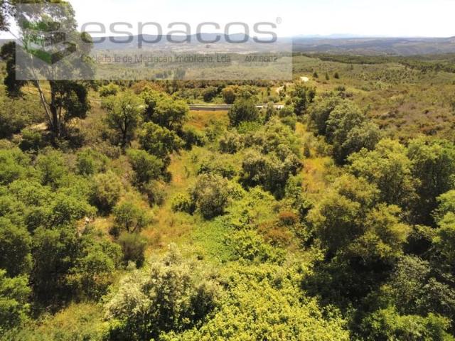 Vila Velha de Rodão Vila Velha de Rodão 103674271