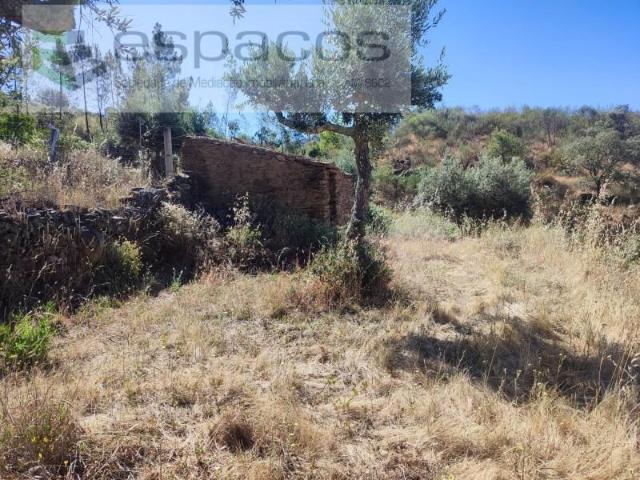 Vila Velha de Rodão Vila Velha de Rodão 103965201