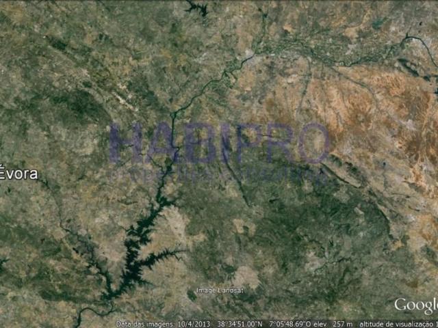 Vila Viçosa Vila Viçosa 104969611