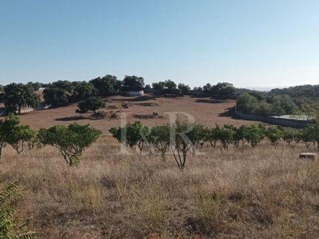 Vila Viçosa Évora LS97100855