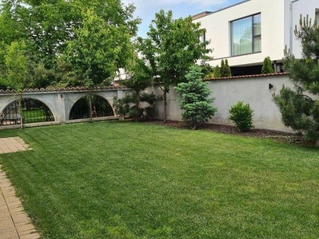 Vila 4 camere Iancu Nicolae
