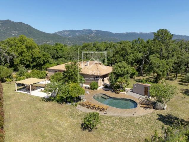 Villa 4 chambres, piscine, Porto Vecchio